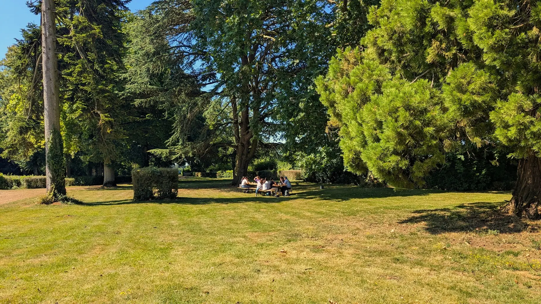 Une table au milieu du parc arboré de Chenevelle